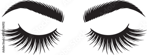 Elegant eyebrow and eyelash silhouette