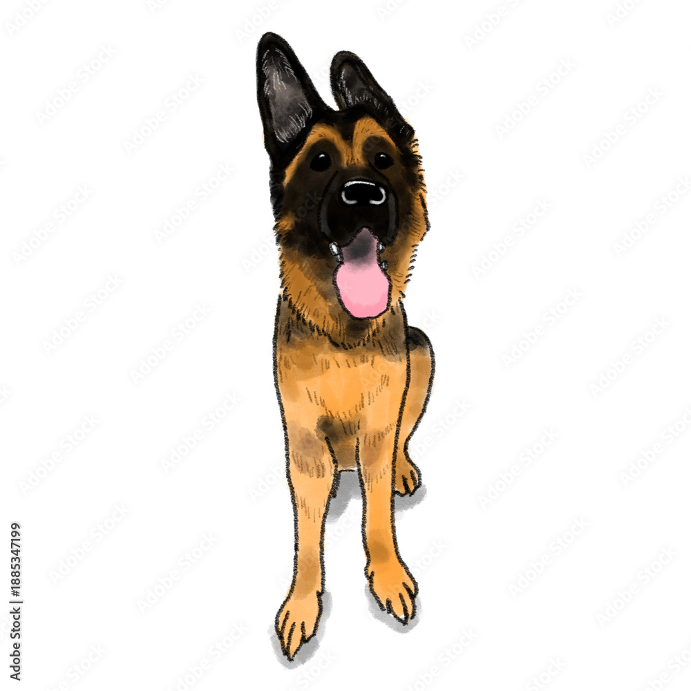 Obraz premium ジャーマンシェパード,イラスト,シェパード,犬のイラスト