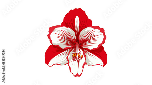 A vibrant digitally illustrated close-up of a red and white flower blossom on a white backdrop