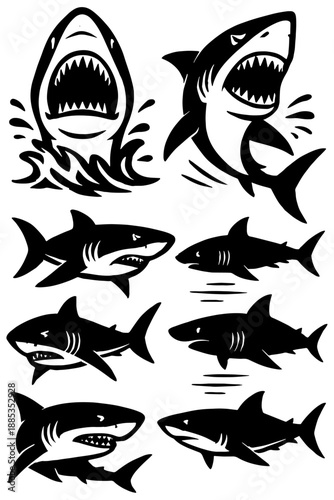 fish vector illustration,
Diverse Shark Illustrations from Ocean Life Themes