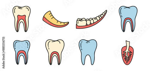 Dental health illustration set tooth diagrams for education medical concepts