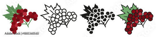 Kalina set of illustrations in different styles Ukrainian symbol.
