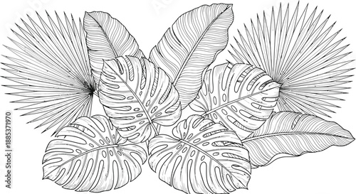 Black and white line art illustration featuring a dense arrangement of various tropical leaves including monstera and fan palms perfect for coloring.
