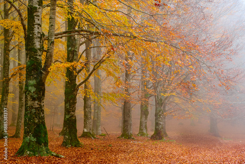 Autunno sul monte Livata