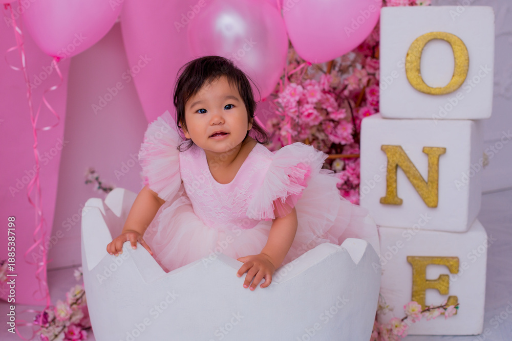 Fototapeta premium First yearbirthday girl baby pink decor