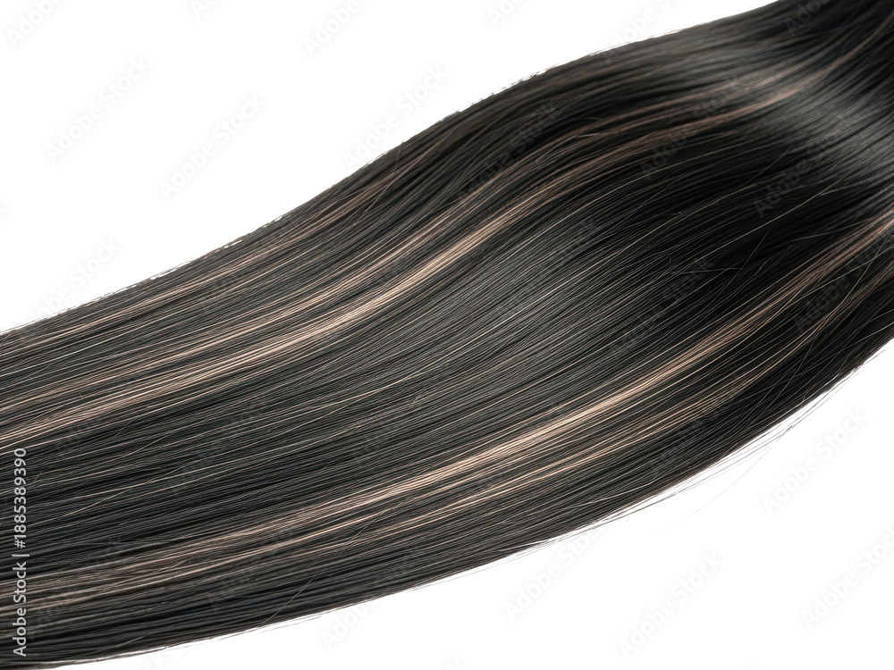 Fototapeta premium Long black hair with brown highlights isolated on transparent background for beauty
