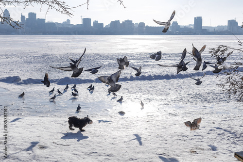 Fotografija Large city across a wide frozen river with snow in the foreground