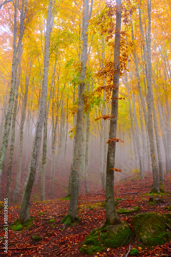 Autunno ai Prati di tivo