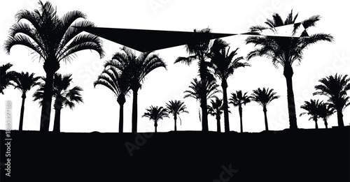 Palm tree silhouettes in tropical oasis landscape, exotic desert scenery vector illustration for summer travel, nature backgrounds, outdoor shade canopy concepts