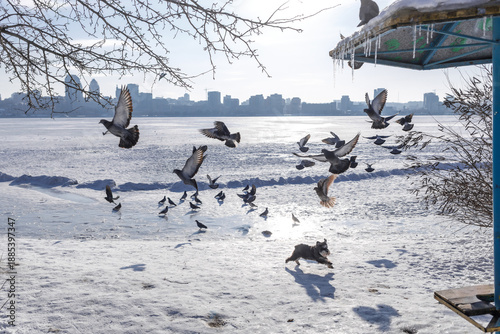 Valokuva Large city across a wide frozen river with snow in the foreground