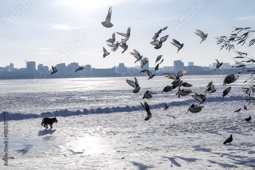 Fotografija Large city across a wide frozen river with snow in the foreground