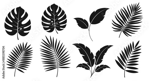 Collection of black and white silhouettes of various tropical leaves arranged in two rows