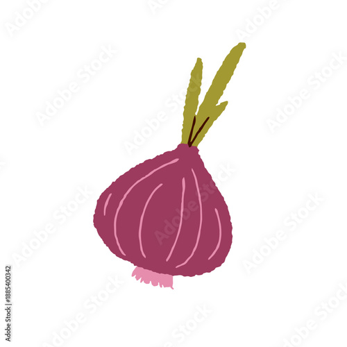 Red onion bulb, healthy vitamin food, vegetable ingredient. Whole fresh organ...
