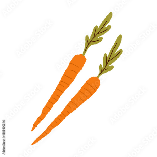 Carrots, fresh healthy food, vegetable ingredient with green leaf top. Orange...