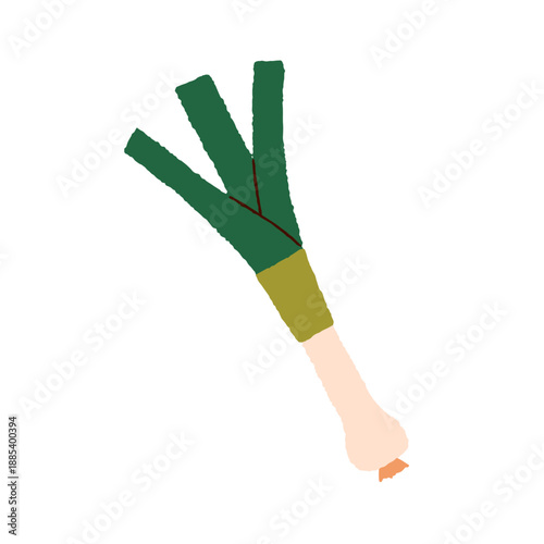 Leek, green vegetable stems. Fresh healthy organic farm food ingredient, seas...