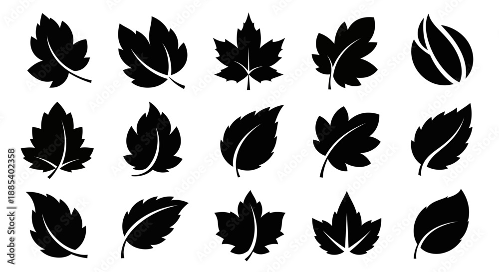 Fototapeta premium Collection of 15 black silhouette maple leaf icons in various shapes and orientations
