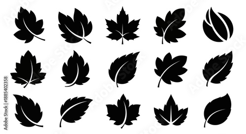 Collection of 15 black silhouette maple leaf icons in various shapes and orientations