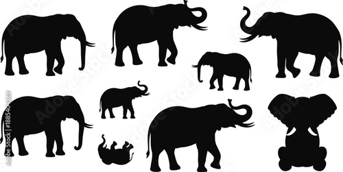 Elephant silhouettes set featuring adult and baby elephants in walking and standing poses, wildlife mammal vector illustration collection isolated on white background