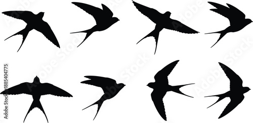 Flying swallow bird silhouettes collection with different flight angles and wing positions, black migratory bird vector illustration isolated on white background
