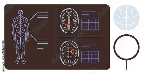 Healthcare, neuroscience, anatomy, global studies, research, diagnostics. Human figure with brain scans and data analysis symbols. Healthcare and neuroscience concept