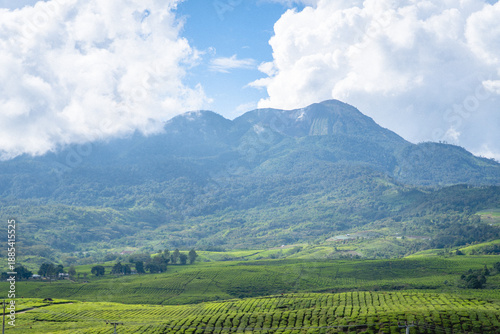 Foto Mount Talang landscape with lush green farmland and rolling hills under dramatic clouds