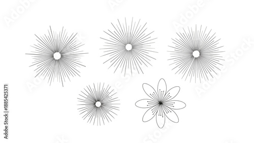 Linear burst and floral design elements in black and white line art are perfect for minimalist logos and decorative accents.