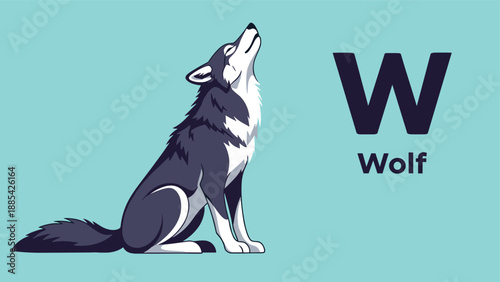 Educational illustration featuring a howling wolf alongside a large letter W and the word Wolf on a blue background for children.