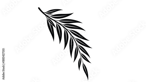 Minimalist black silhouette of a long leafy branch with slender foliage isolated on a clean white background for design.