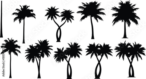 Collection of diverse tropical palm tree silhouettes, featuring various shapes and sizes, perfect for summer, beach, and vacation-themed designs, isolated on a clean white background.