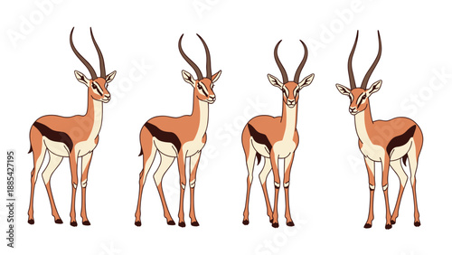 Group of four graceful gazelles standing in various frontal and profile views illustrated in a clean vector style.