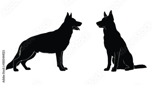 Two german shepherd dogs facing each other in a dark silhouette