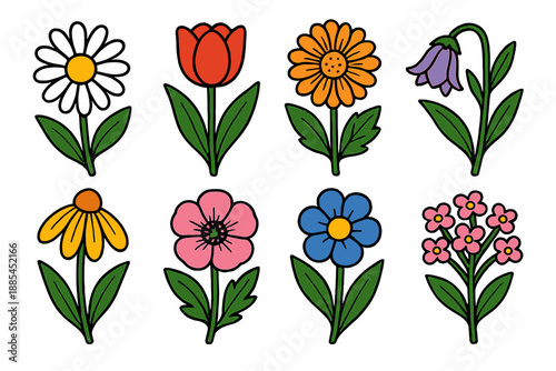 Isolated Garden Flowers Isolated blooming garden flowers with stems and leaves for packaging stickers social media and botanical branding.