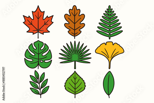 Bright flat leaf collection including maple oak fern monstera palm ginkgo laurel and birch for packaging and decor.
