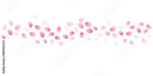 Sakura cherry petals, pink apricot flowers falling border. Vector background
