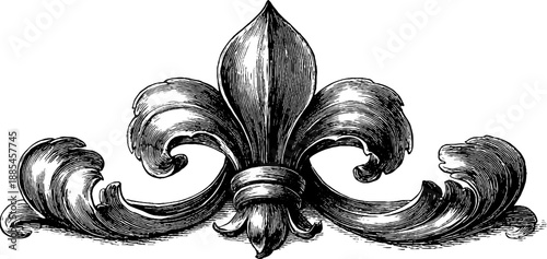 Vintage heraldic escutcheon with botanical motifs - 19th century engraving for print or decor