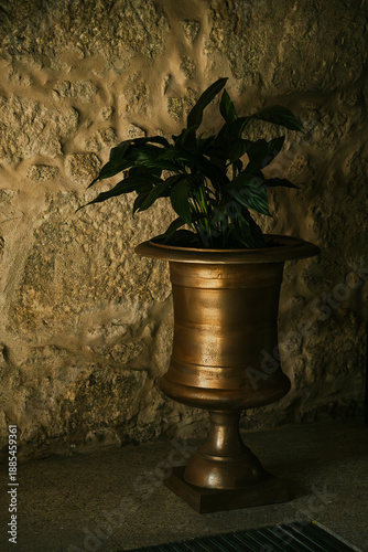 Tablou pe pânză Bronze urn with a plant in a dimly lit corner.