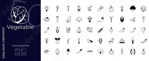Vegetable Duotone Editable Icons set