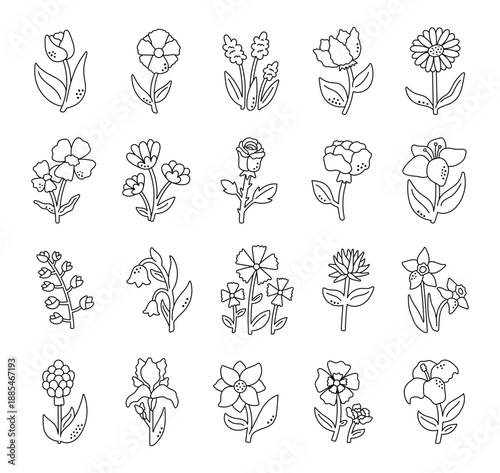 Blooming flower set in outline line art featuring spring blossoms floral elements and gentle botanical nature illustrations for your creative designs projects