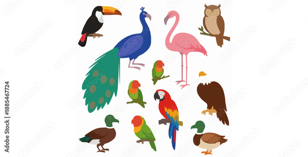 Fototapeta premium Wild and zoo cartoon birds vector set for kids illustrations