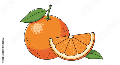 Orange fruit illustration features a whole citrus with green leaves and a separate juicy slice on a clean white background.