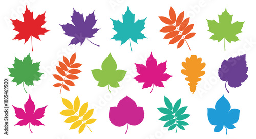 Large collection of colorful autumn leaves in various shapes like maple and oak scattered across a white background for fall designs.