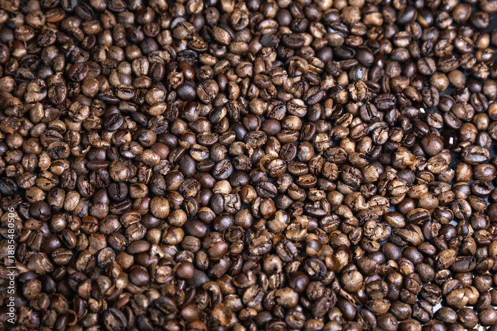 Fototapeta premium Top Down Close Up of Home Roasted Coffee Beans on Baking Tray 