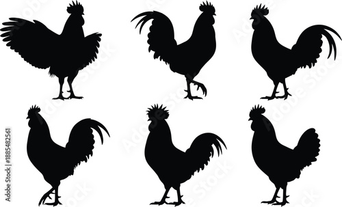 Set of Black Rooster Silhouettes in Various Poses