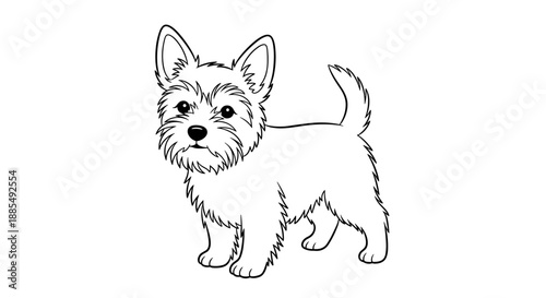 Cute terrier puppy stands alert with pointed ears and a scruffy coat in this simple black and white line art drawing.