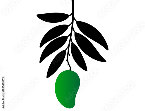 green mango hanging from a branch with leaves