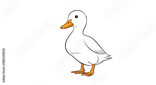 Simple illustration of a young white duck with an orange beak and feet standing against a plain white background.