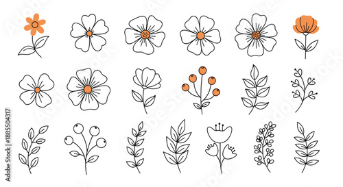 Collection of minimalist hand-drawn floral elements including flowers branches and berries in a simple outline doodle style.