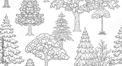 A seamless black and white pattern of different hand-drawn deciduous and coniferous trees for a forest-themed background.