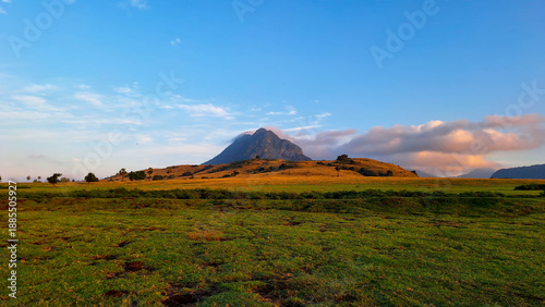 a view of a meadow at sunrise with a towering mountain in the background