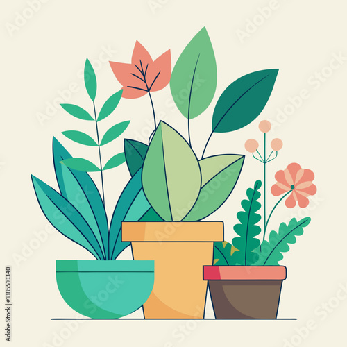 Collection of Potted Houseplants